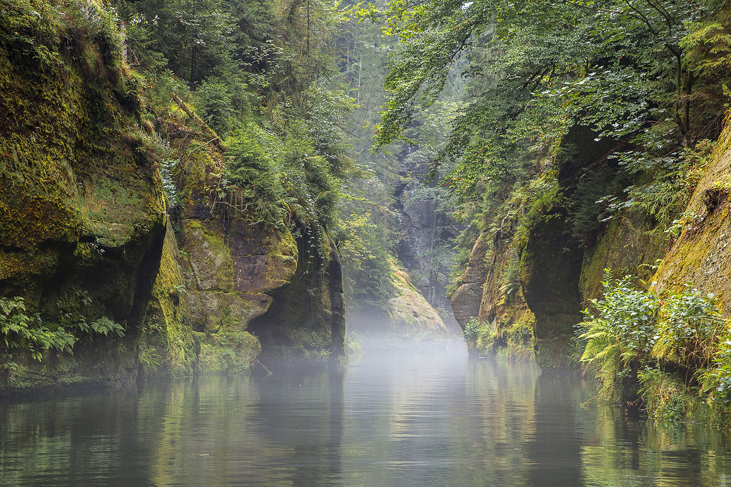 Kamenice river, Hrensko